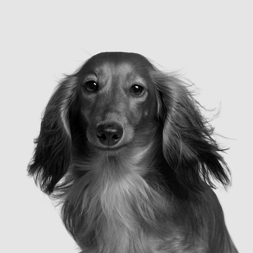 Lyndal Hall Map Creative lyndal-hall-map-creative